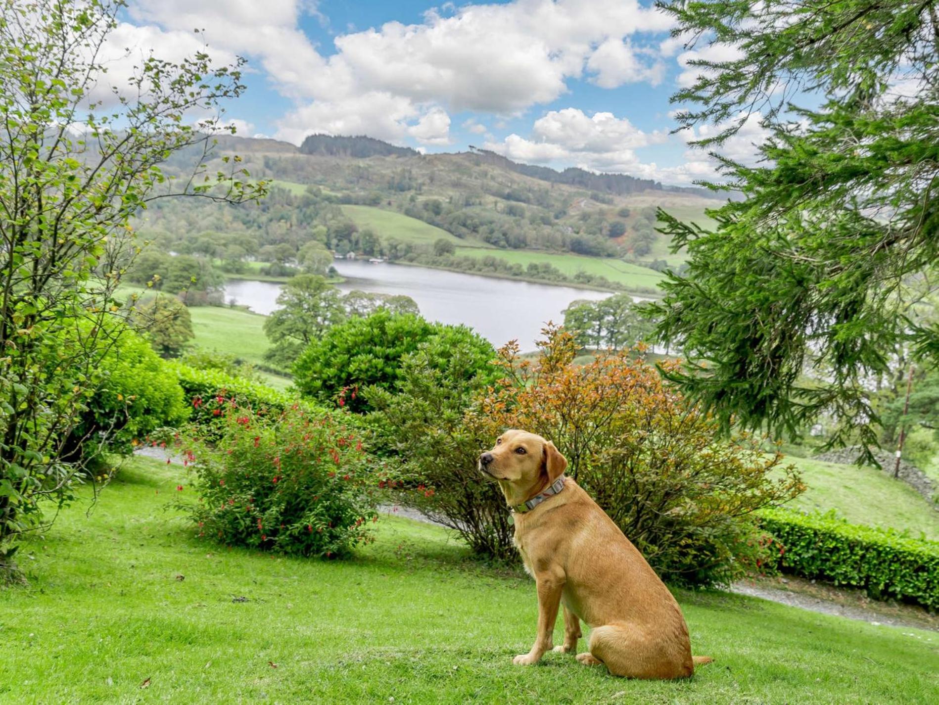 4 Bed in Hawkshead oc-llh42 view 5