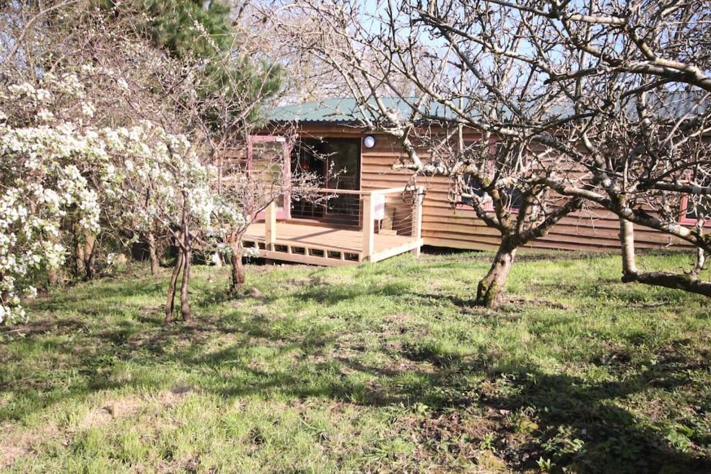 Helnoweth Lodge