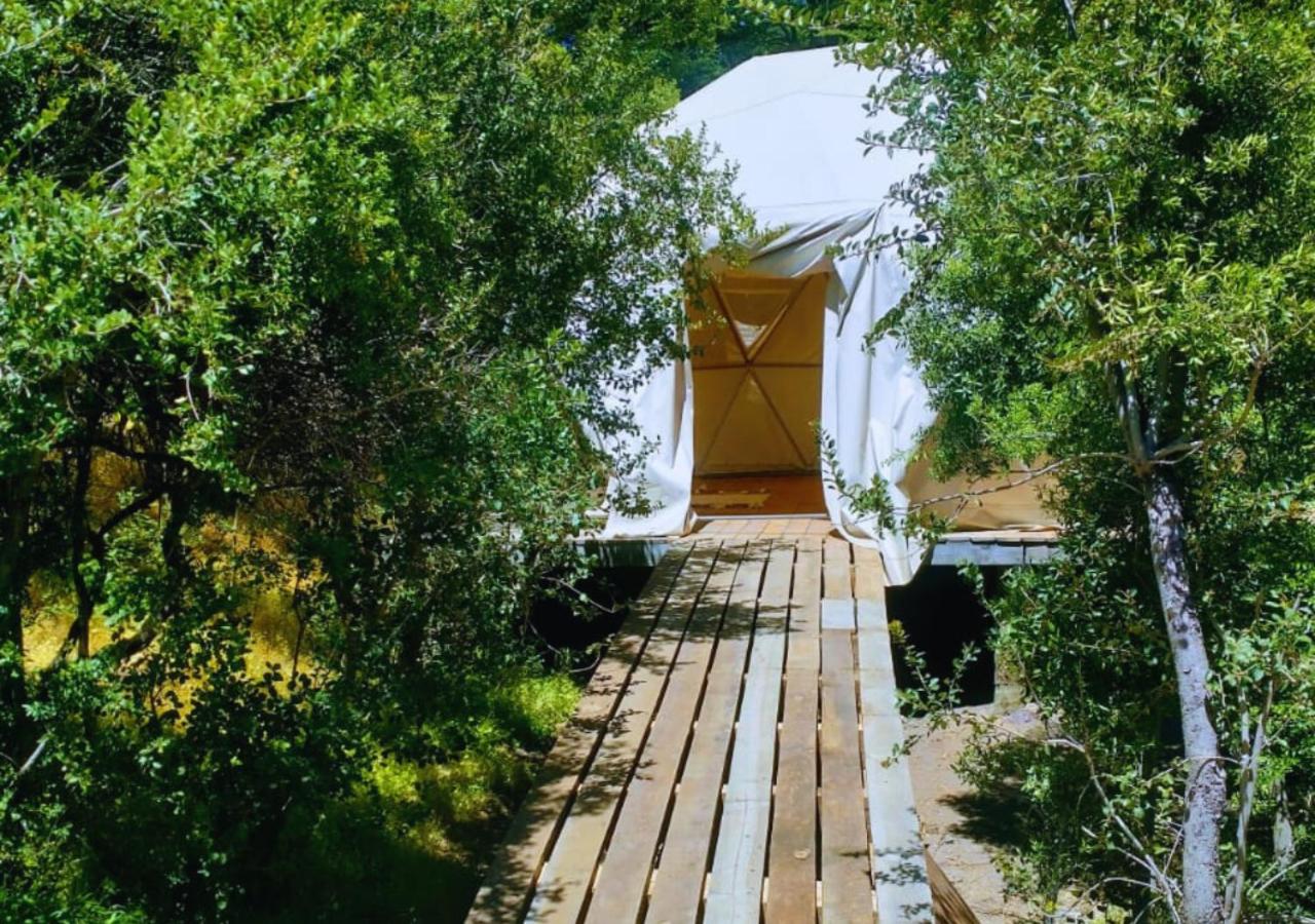 Adobe Ecohostel