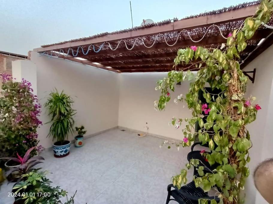 Lovely & Calm Rooftop in Maadi 5 min from the Nile