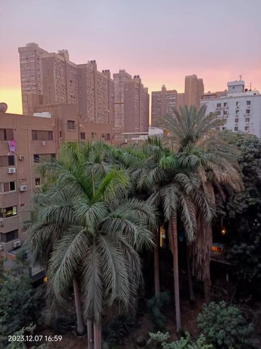 Lovely & Calm Rooftop in Maadi 5 min from the Nile