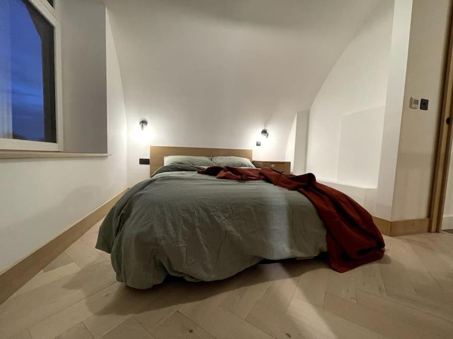 Contemporary Detached Eco House