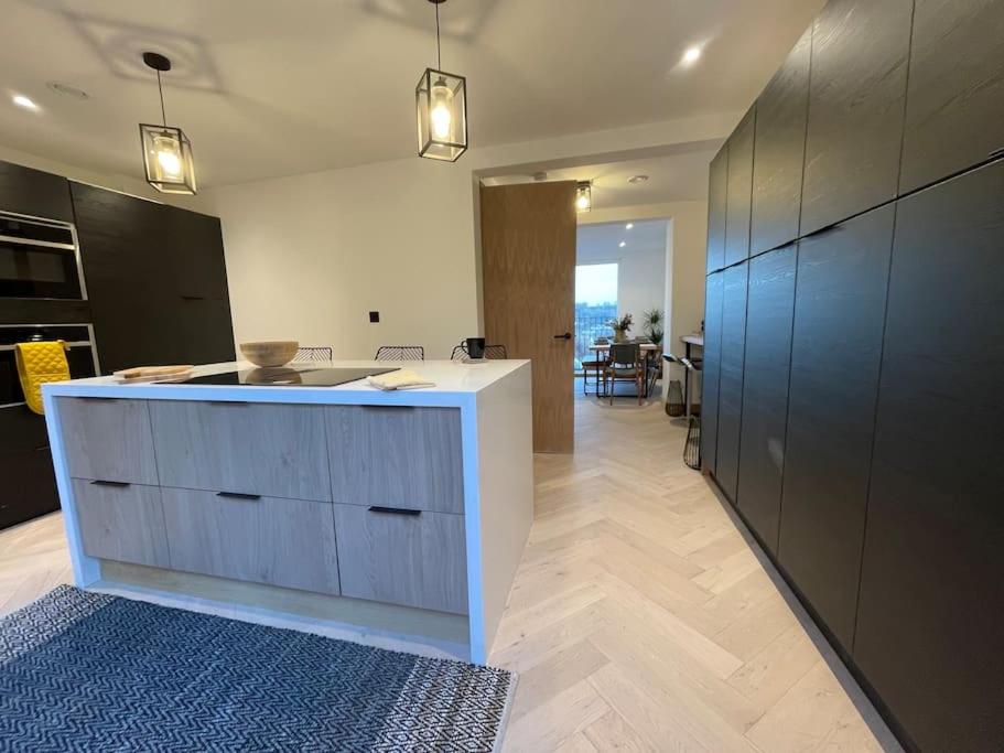 Contemporary Detached Eco House