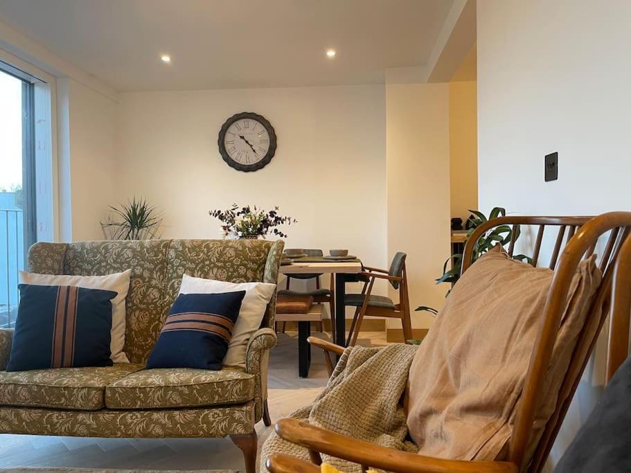 Contemporary Detached Eco House