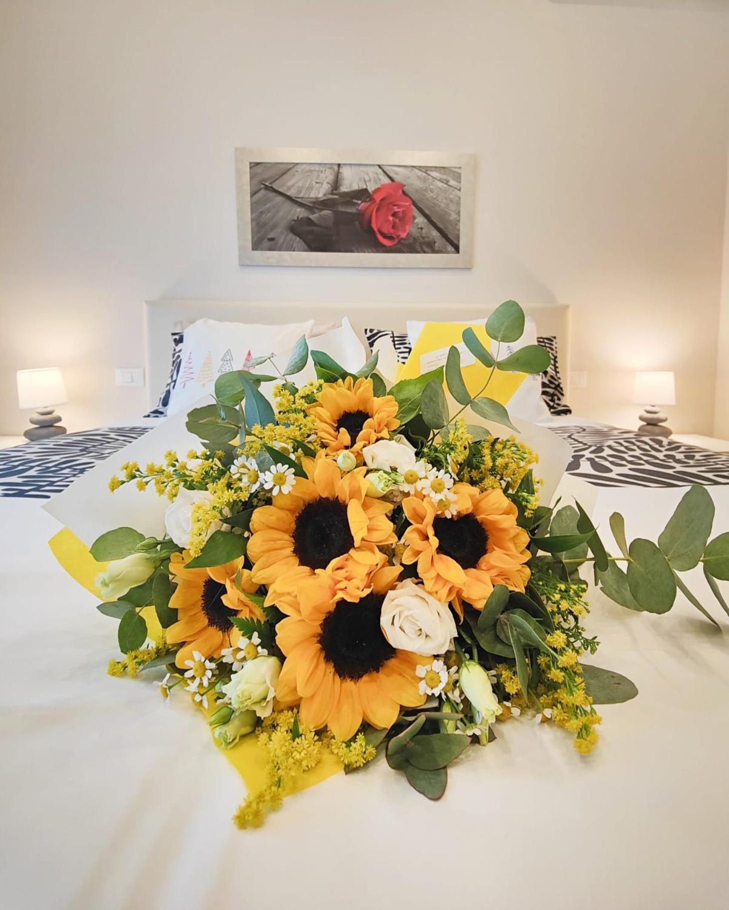 Florence Comfort B&B