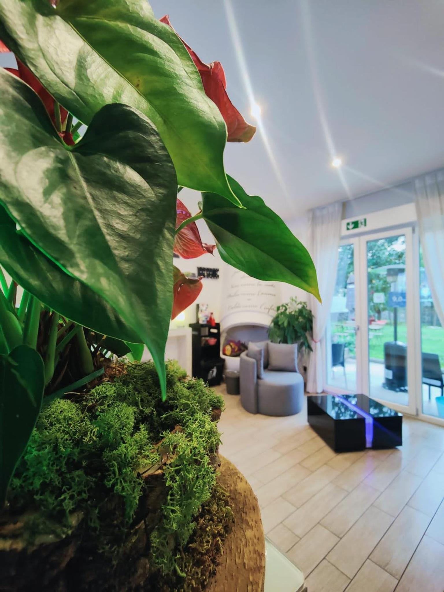Florence Comfort B&B