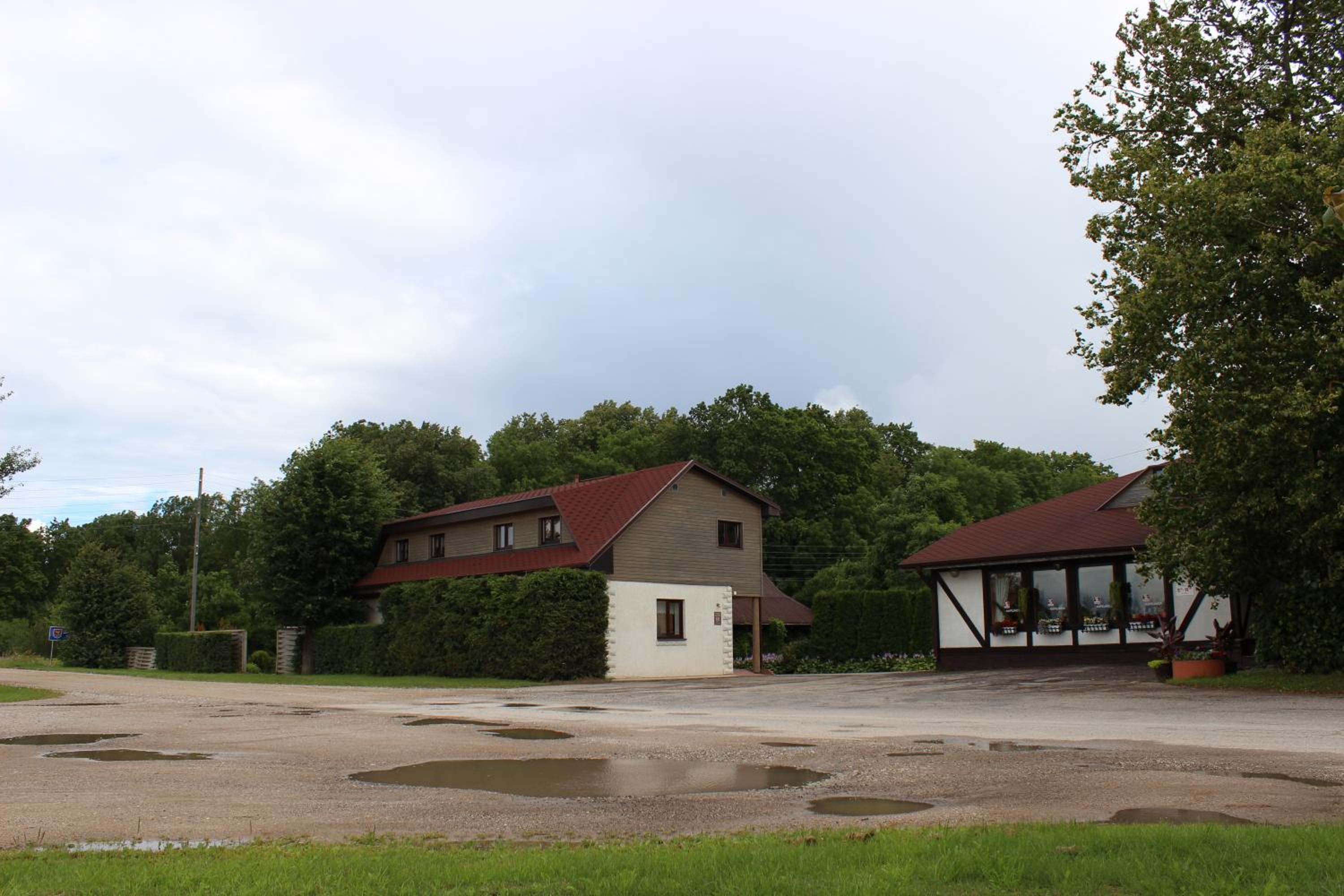 Photo 19