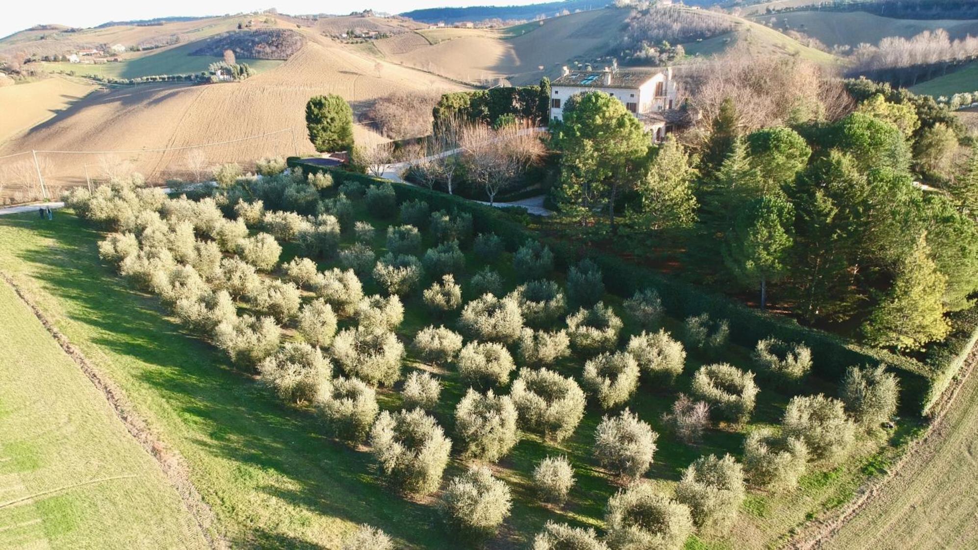 Monterosato Country House