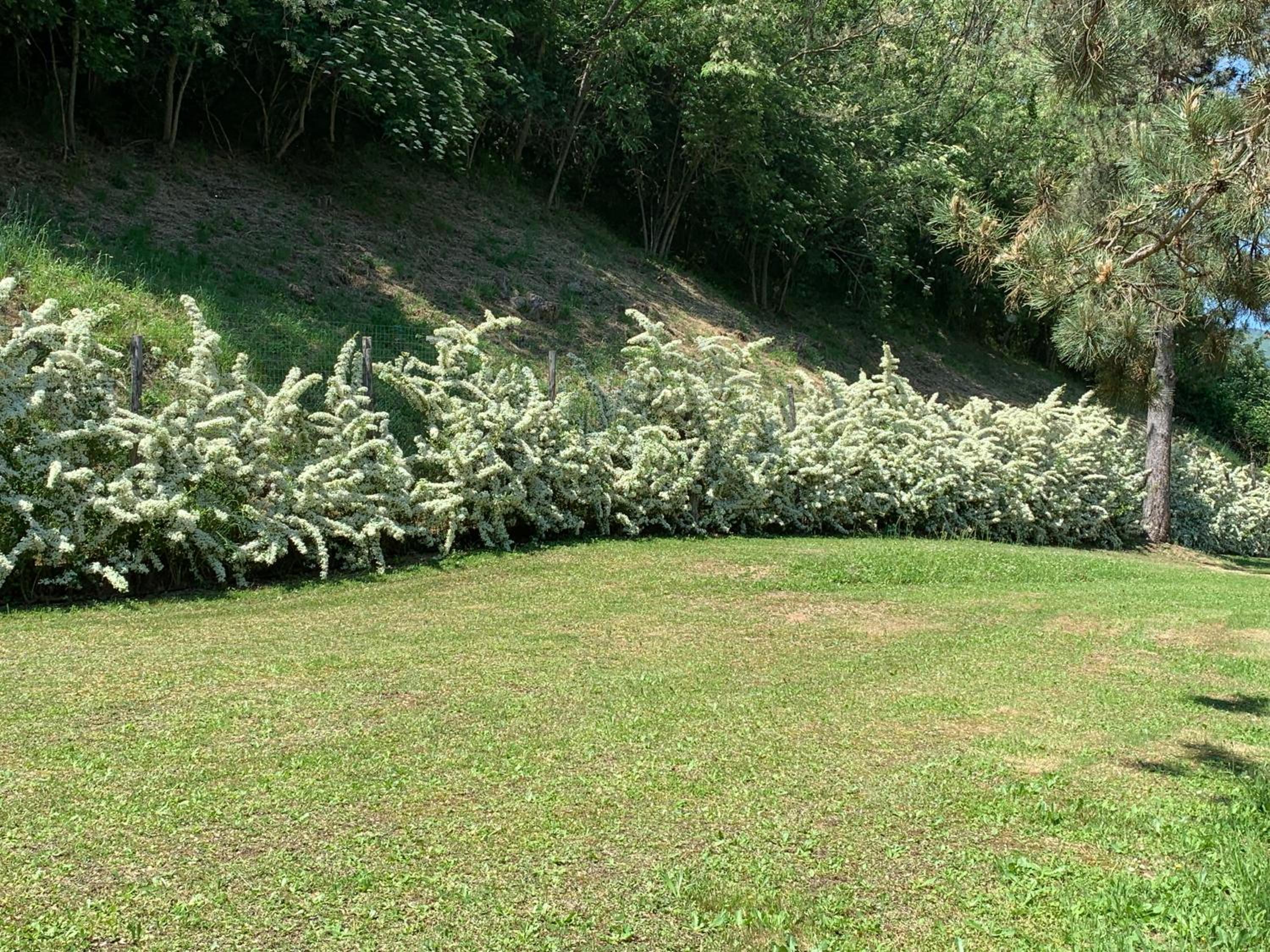 Podere Campofossato