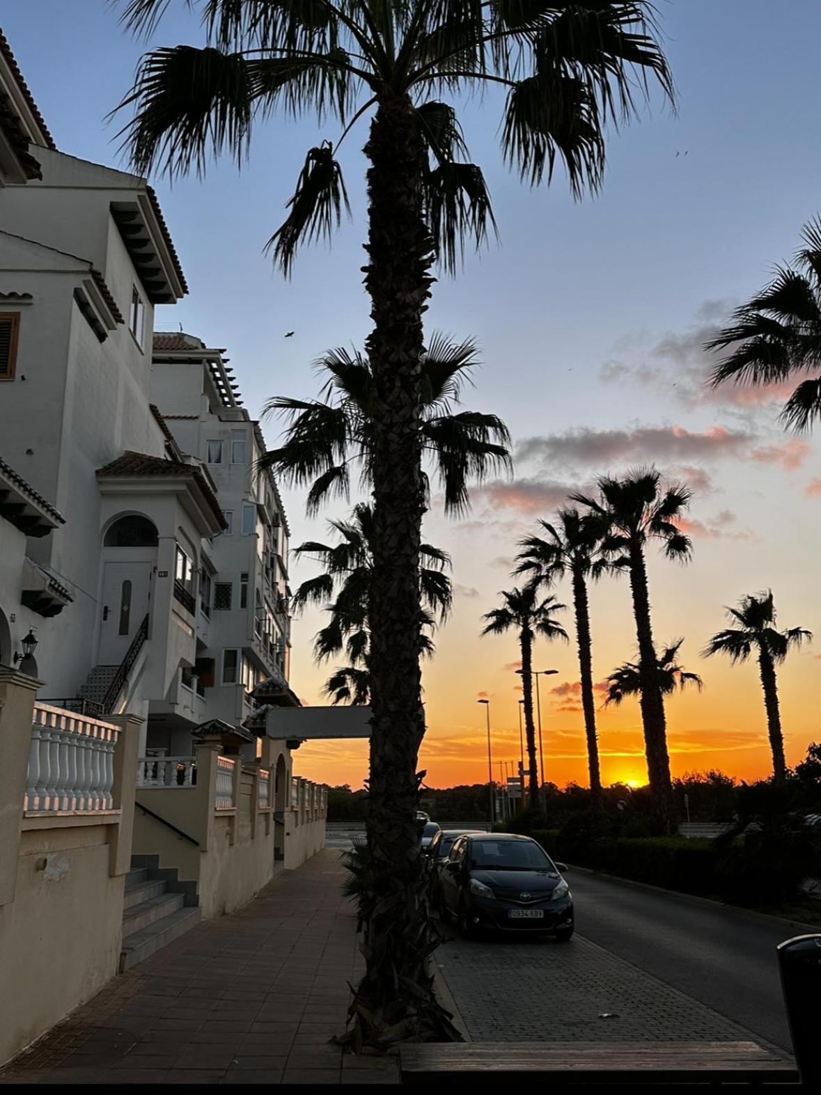 Apartament Apia La Mata 300m to the beach and beautiful swimming pool view 3