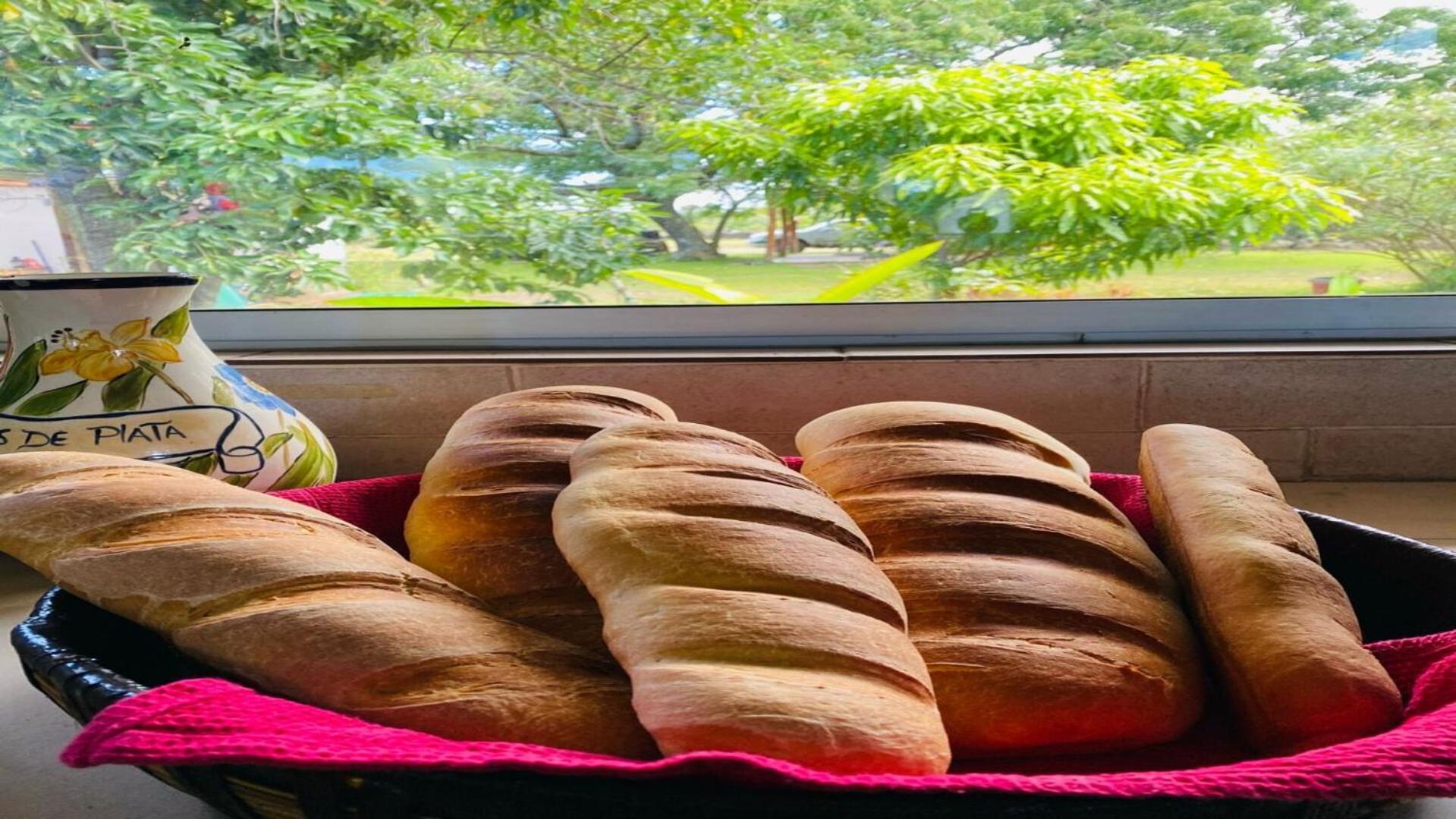 Hostal Harepakoba