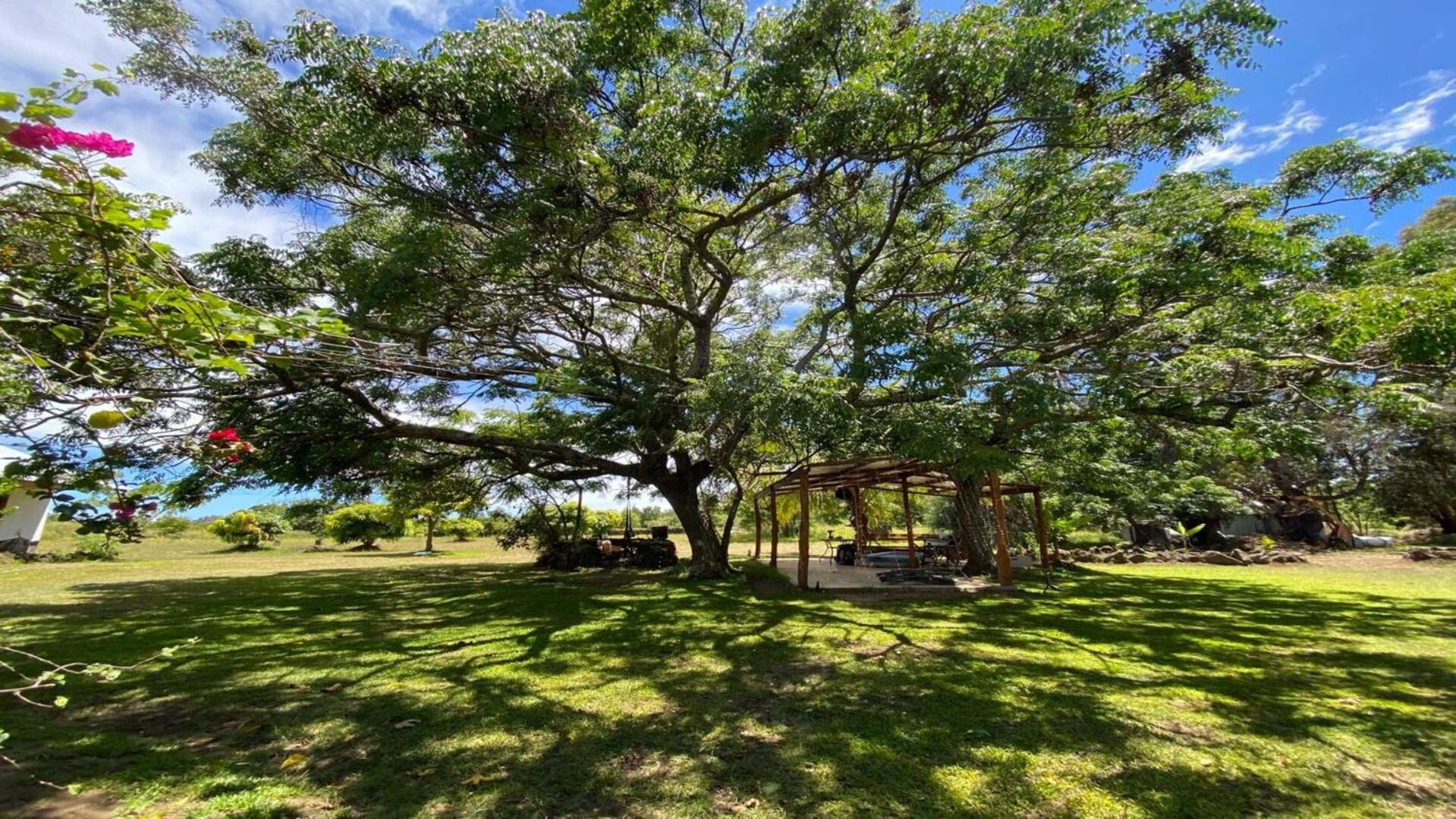 Hostal Harepakoba