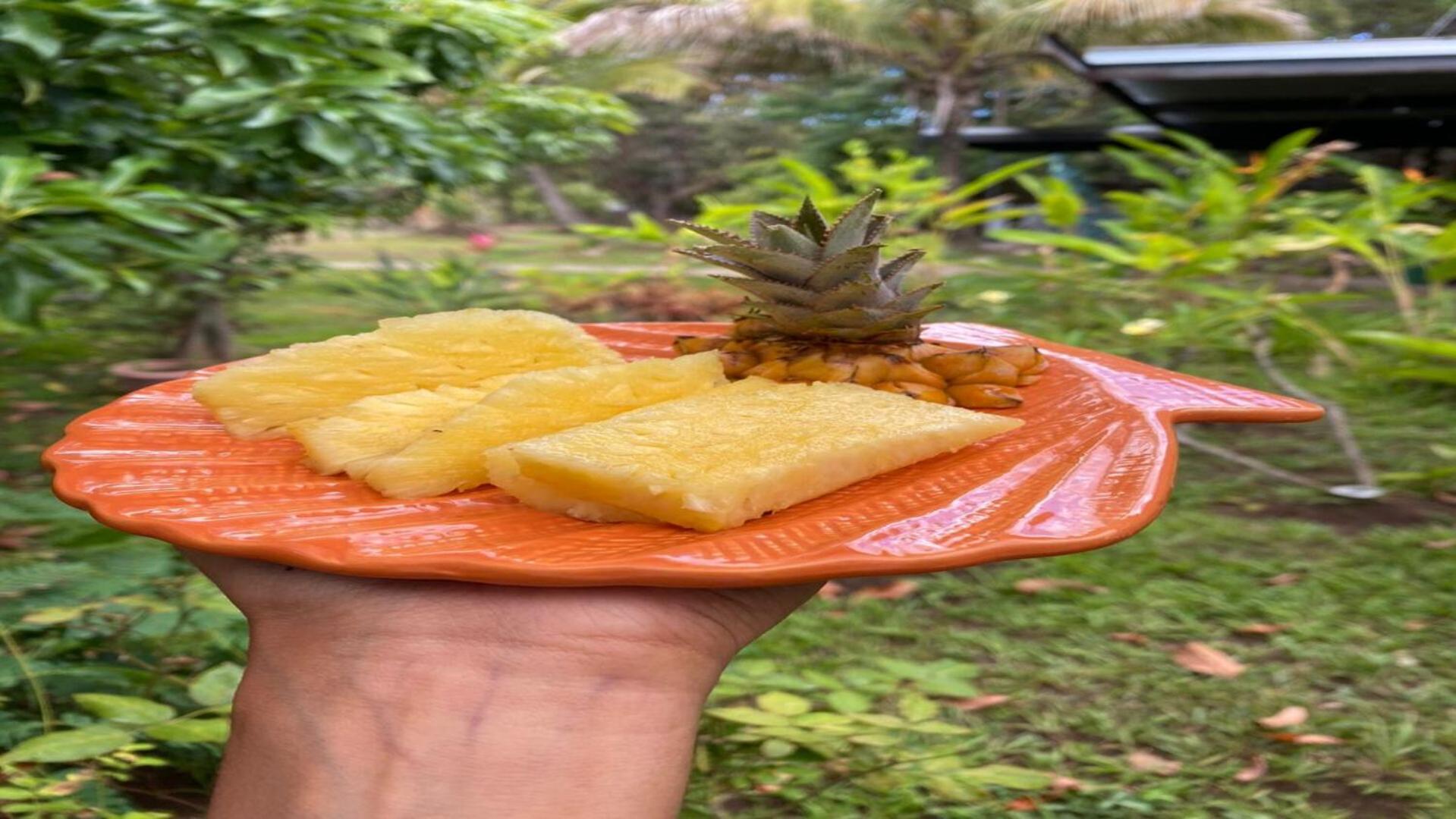 Hostal Harepakoba