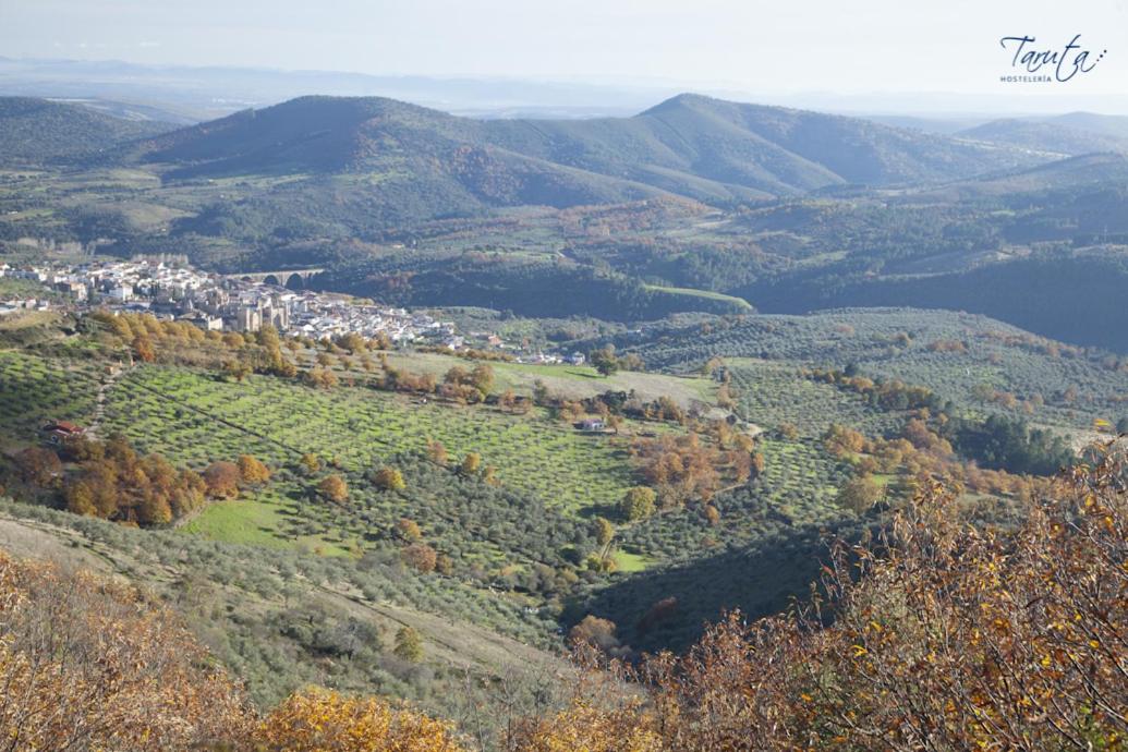 Hostal Alba Taruta