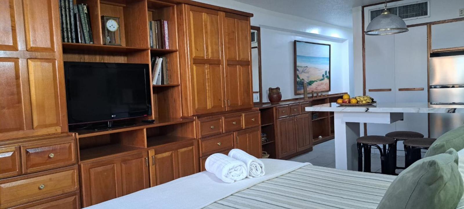 Departamento Tipo Estudio Dynasty Isla de Margarita view 2