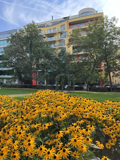 Apartment in historical center with park view