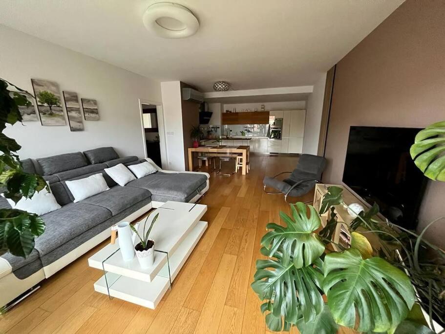 Apartment in historical center with park view
