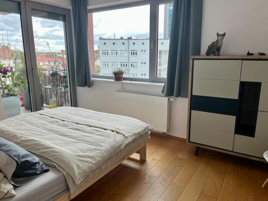 Apartment in historical center with park view