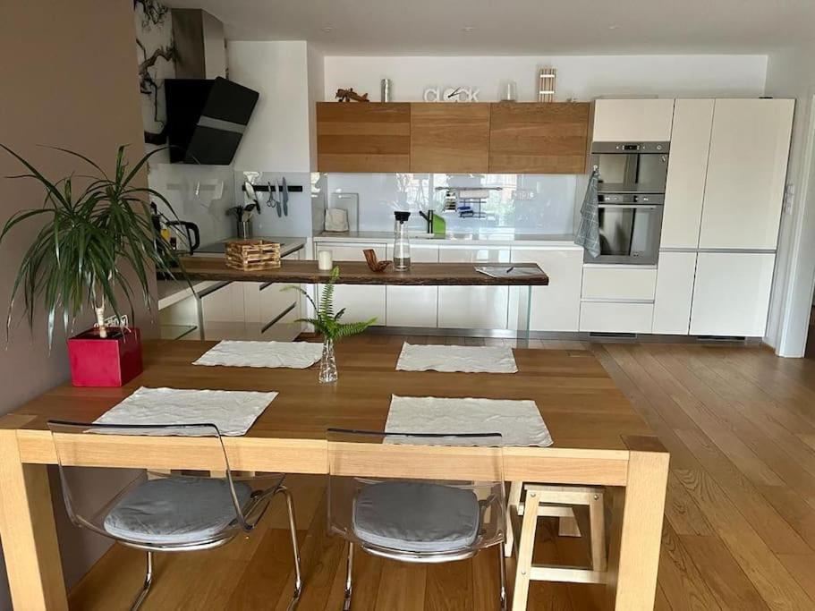 Apartment in historical center with park view