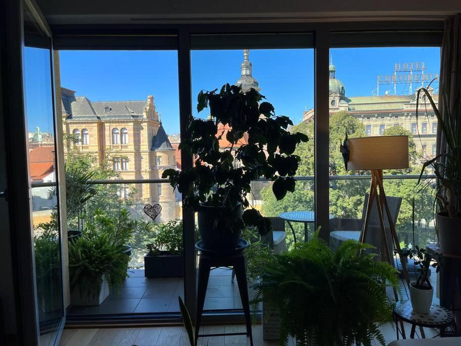 Apartment in historical center with park view