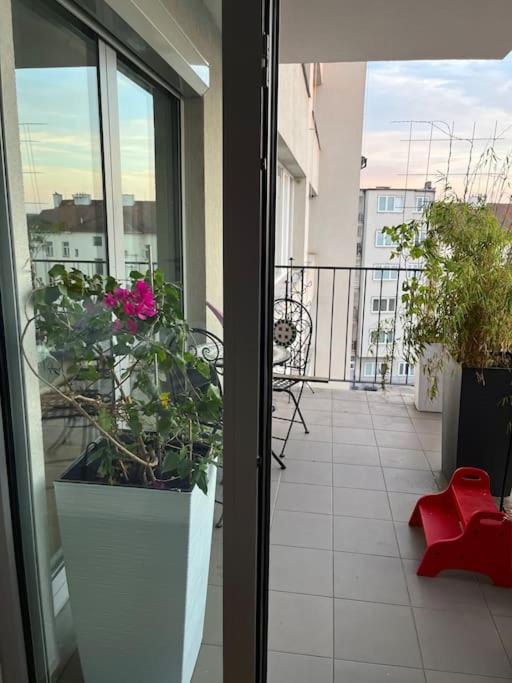Apartment in historical center with park view