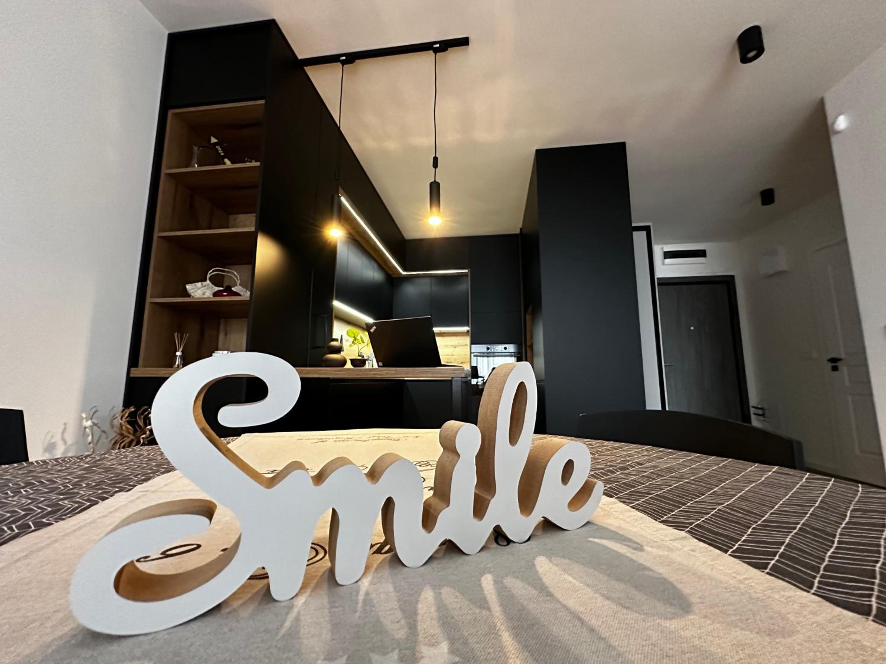 1BR Modern condo near the University