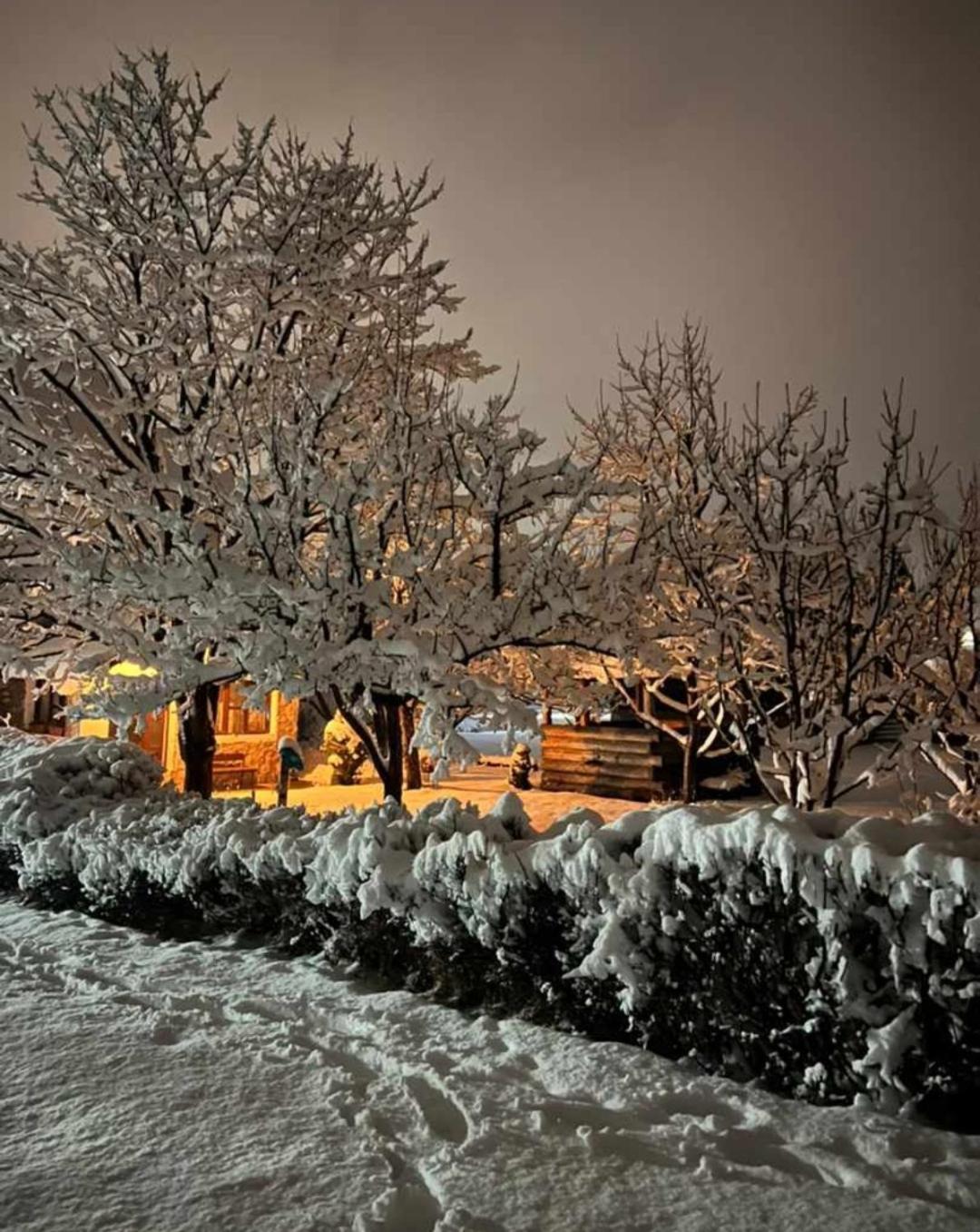 Marija home view 4