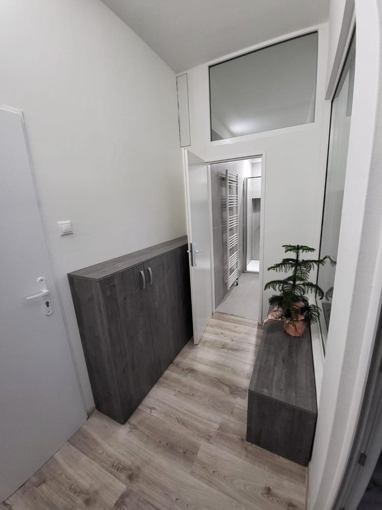 Apartmán Nová Baňa view 4