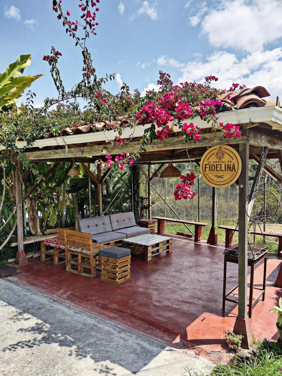 EL HOSTAL DE FIDELINA view 3