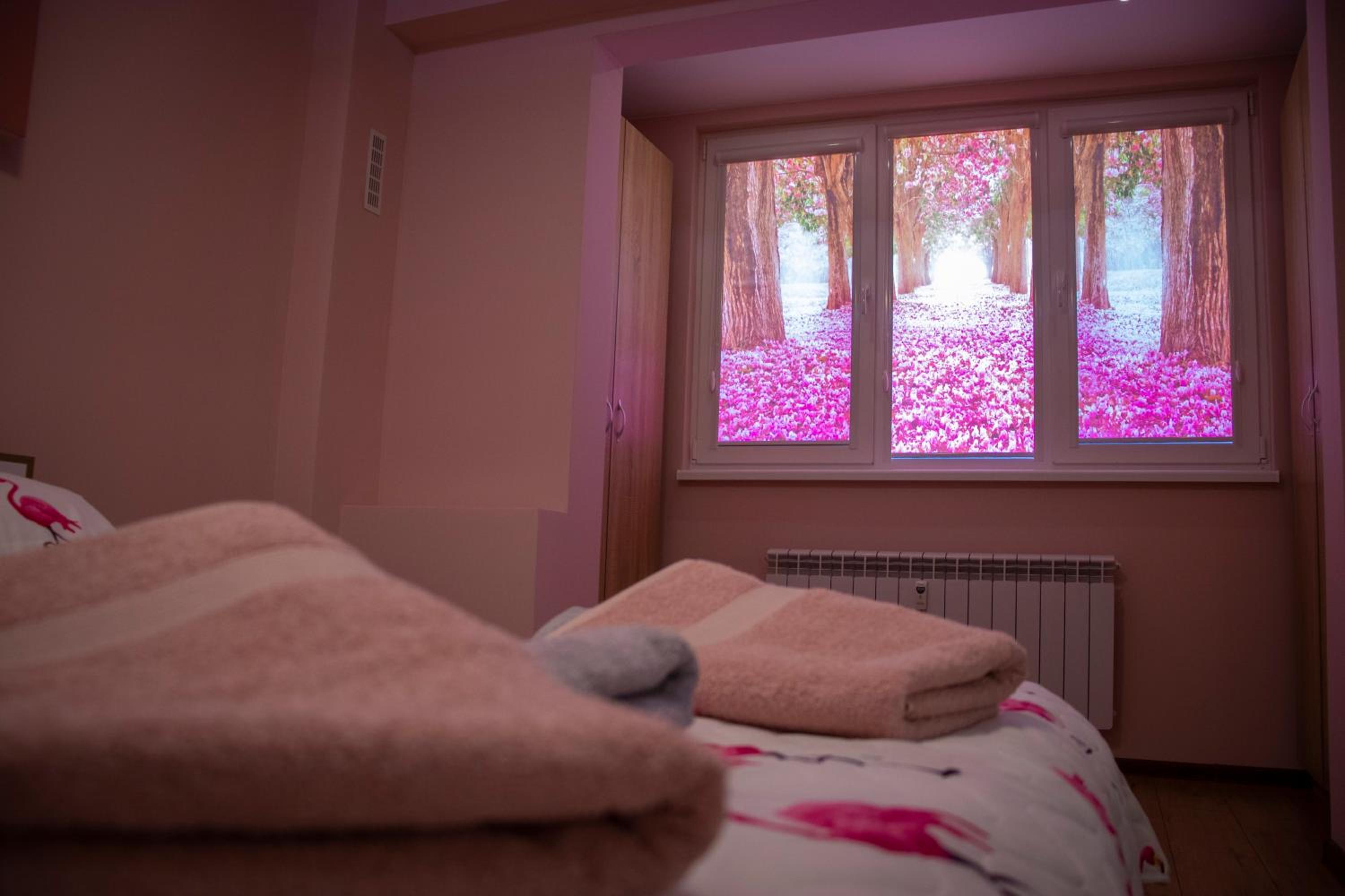 Newly renovated 2 bedroom apartment in Sofia