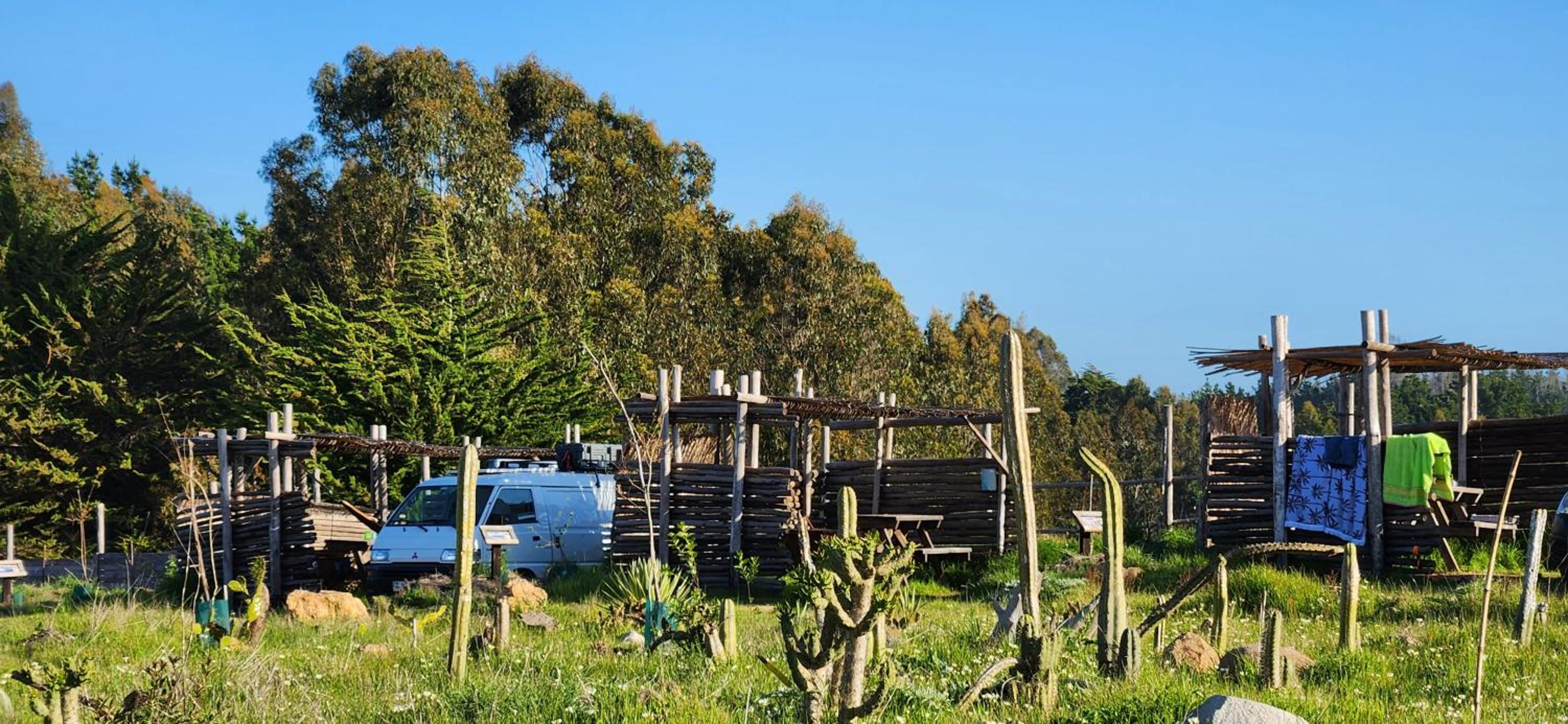 Olas de Chile Ecocamp
