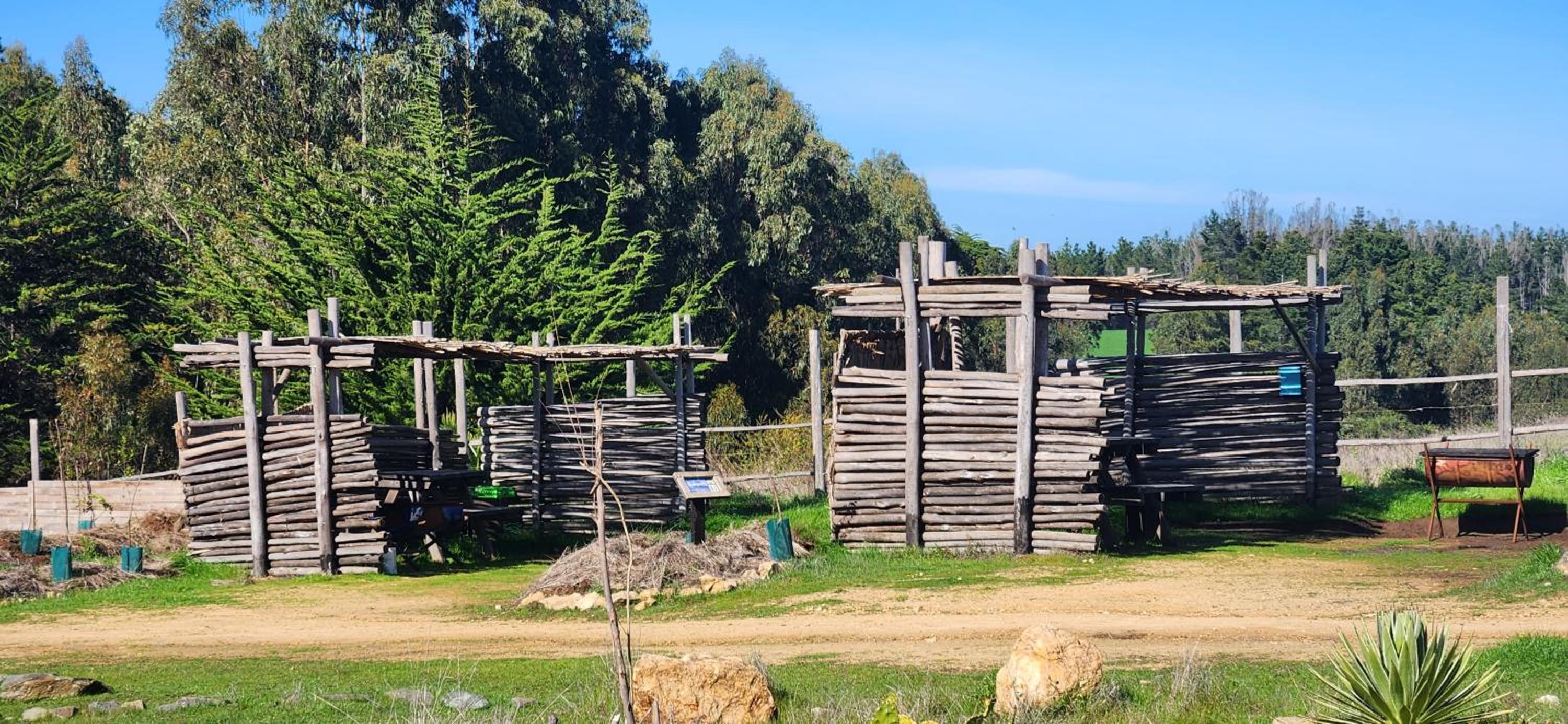 Olas de Chile Ecocamp