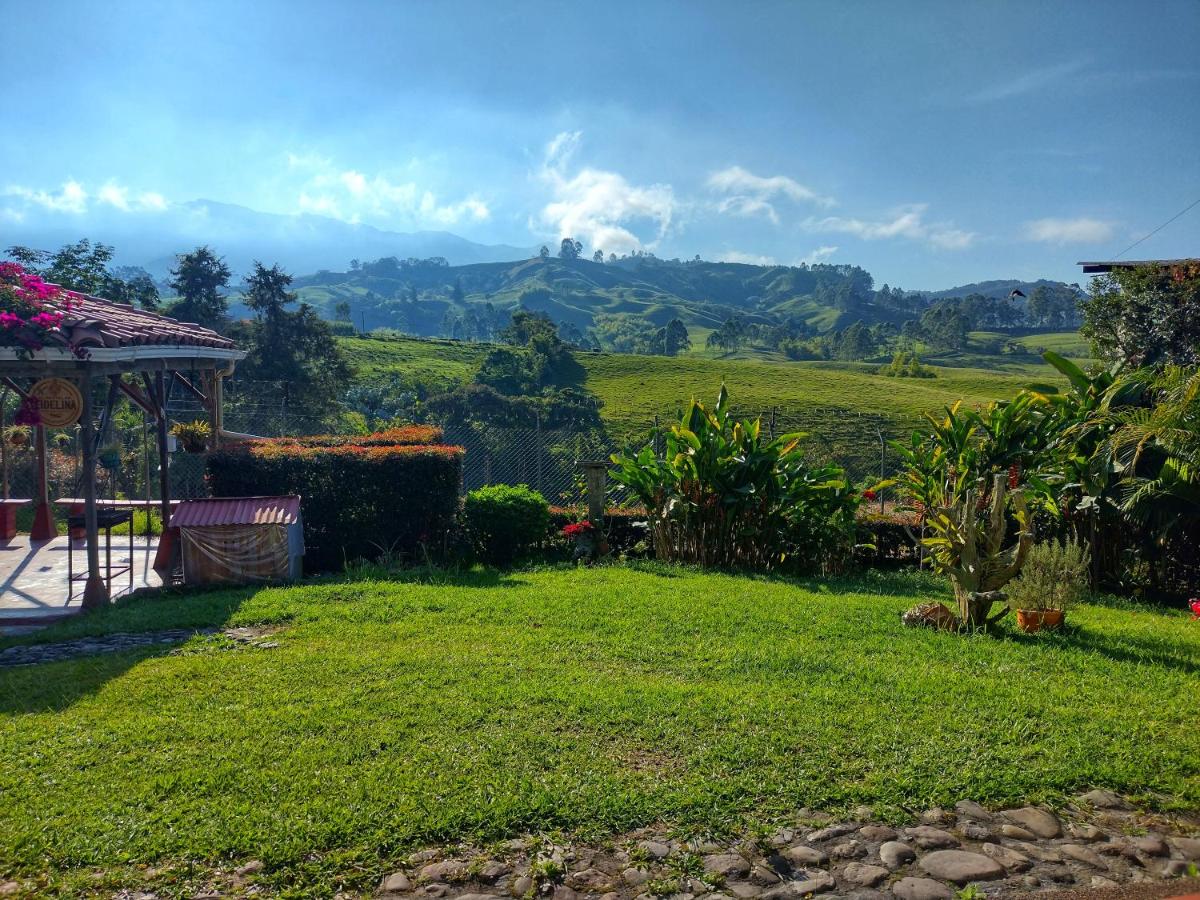 EL HOSTAL DE FIDELINA view 2