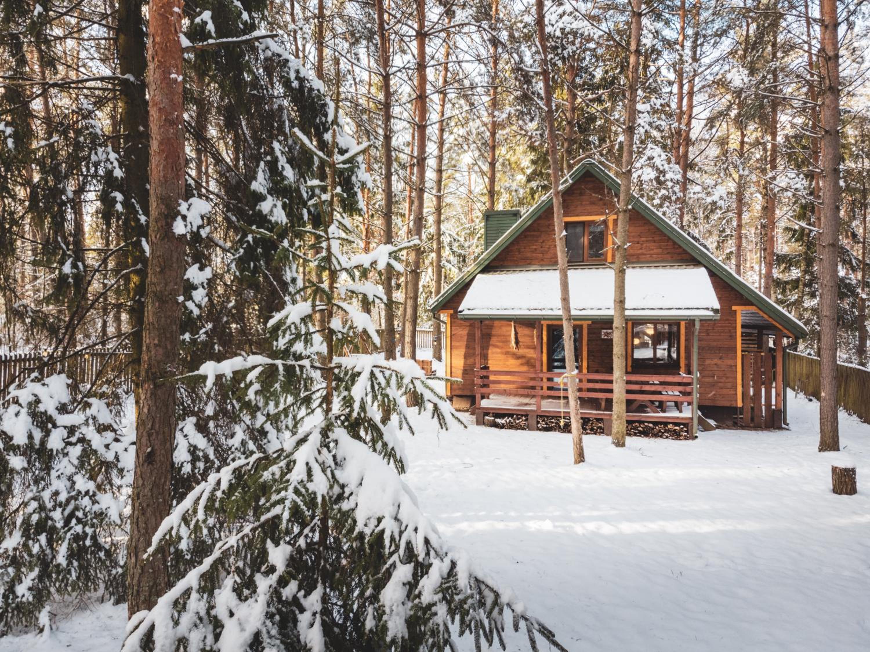 Jarzębinowa - Dom do wynajęcia na Podlasiu view 5
