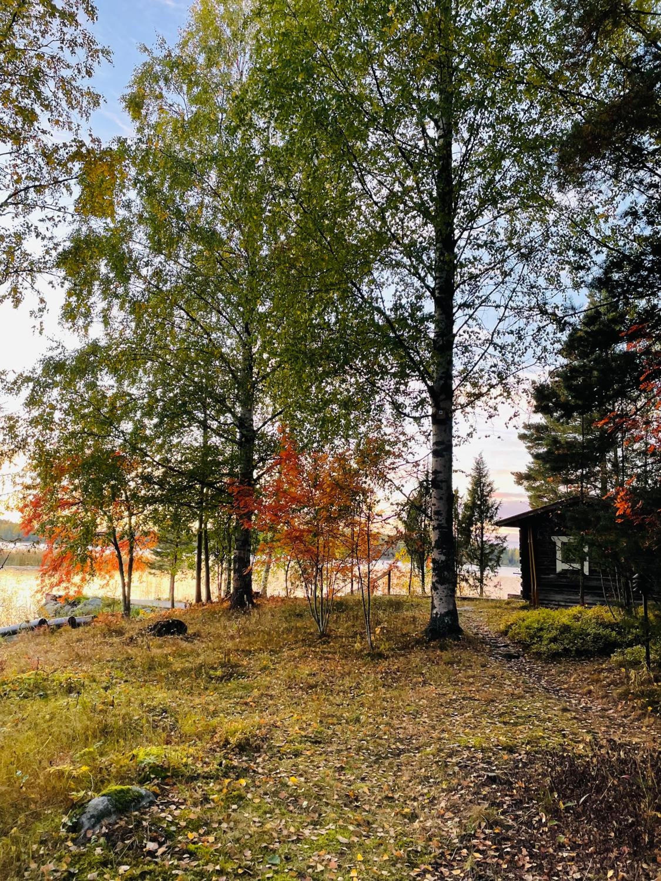 Blueberry Villa at Saimaa Lakeside