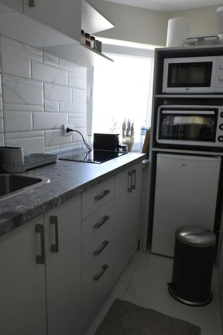 Belgrade Center Penthouse Duplex view 4