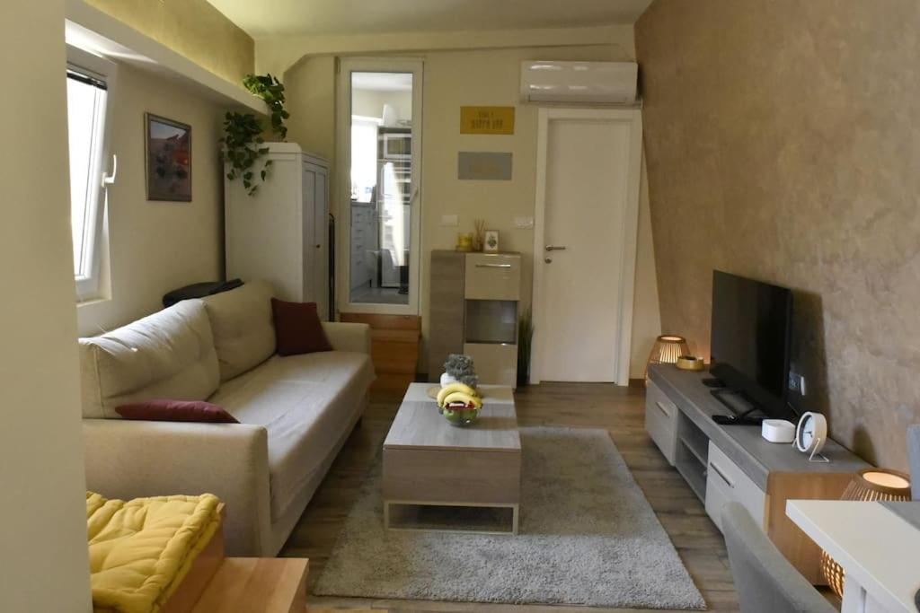 Belgrade Center Penthouse Duplex view 2
