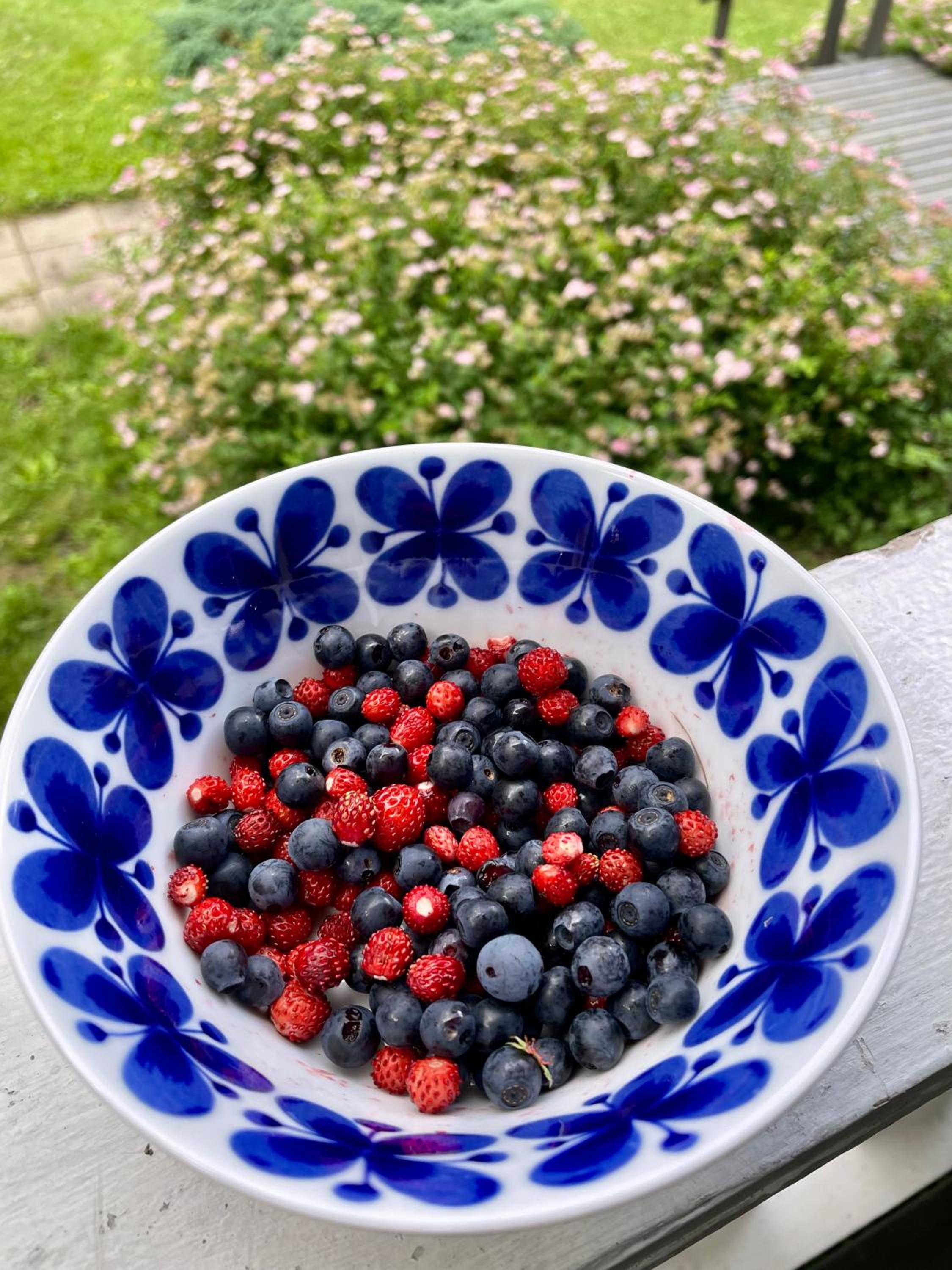 Blueberry Villa at Saimaa Lakeside