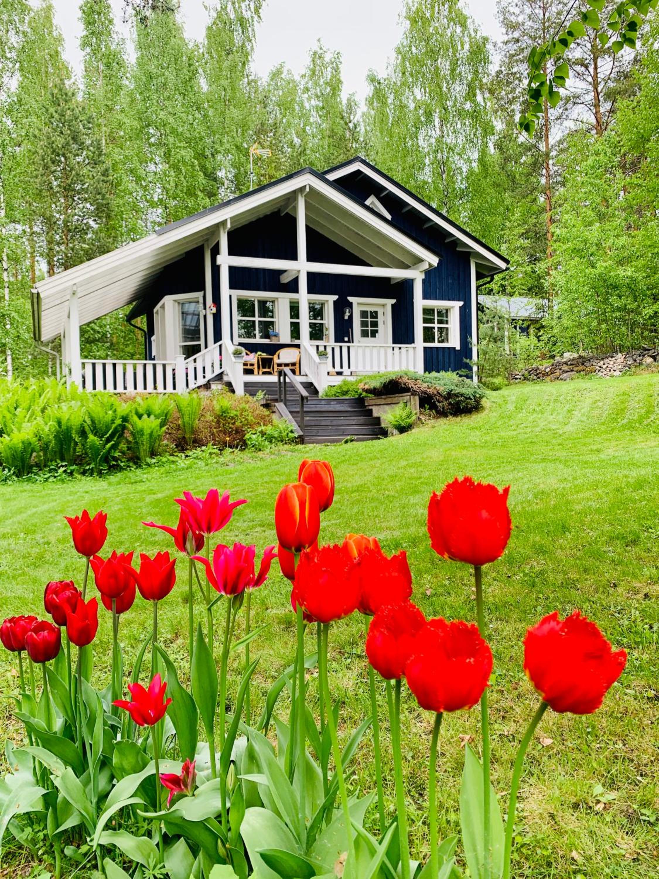Blueberry Villa at Saimaa Lakeside