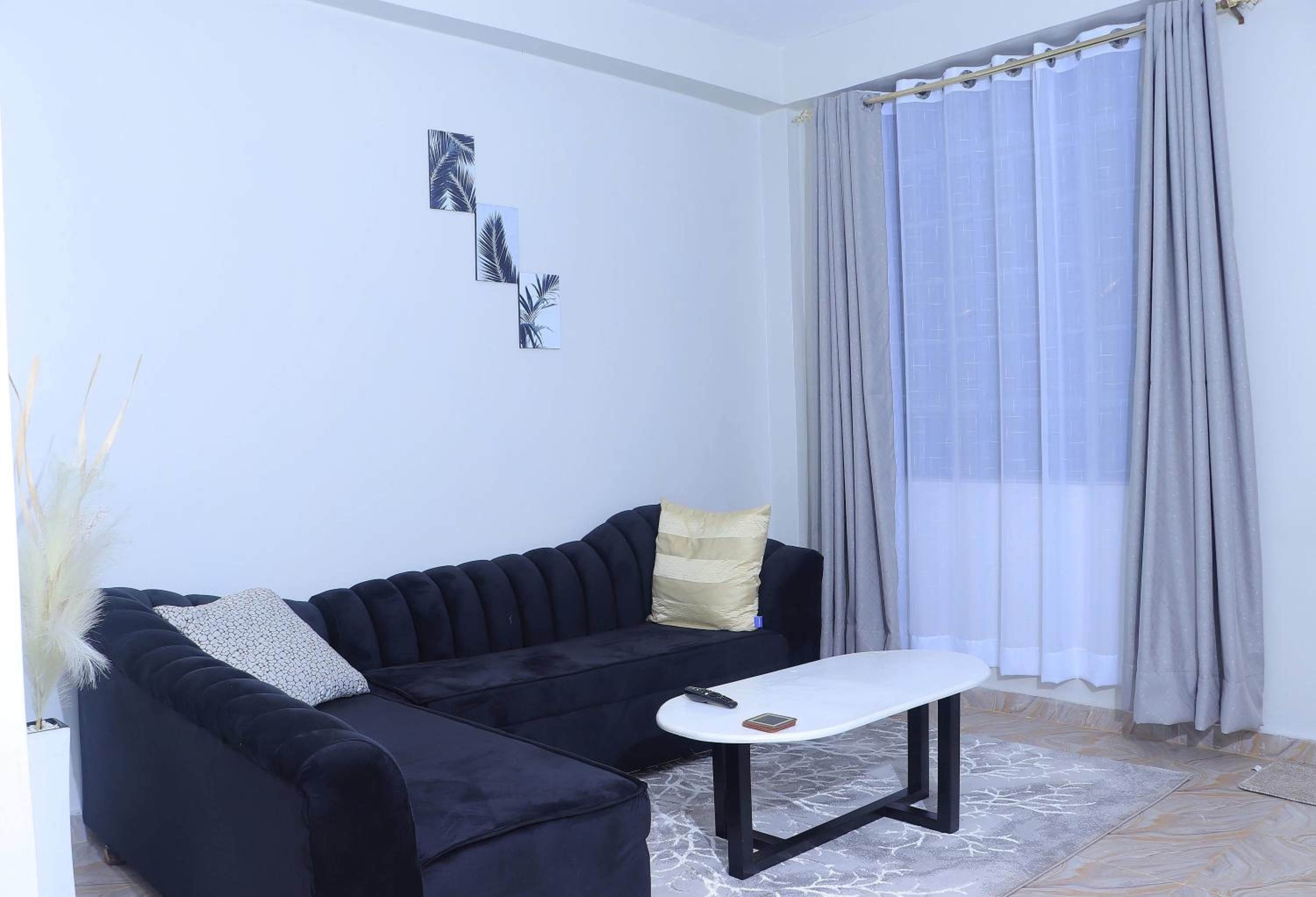 1BR Apartment, Canopy apartments Meru near KeMU university Main Campus