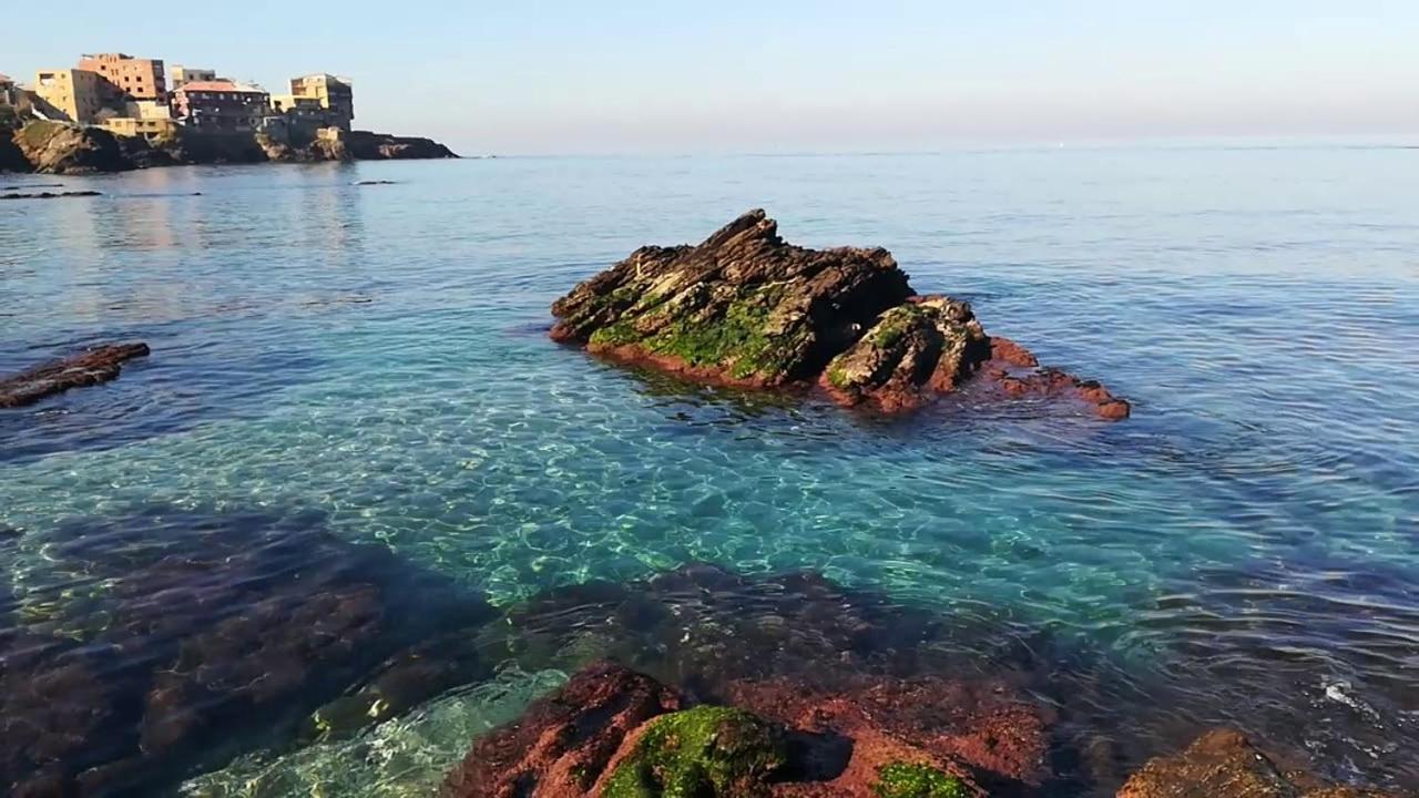 Bainem plage forêt