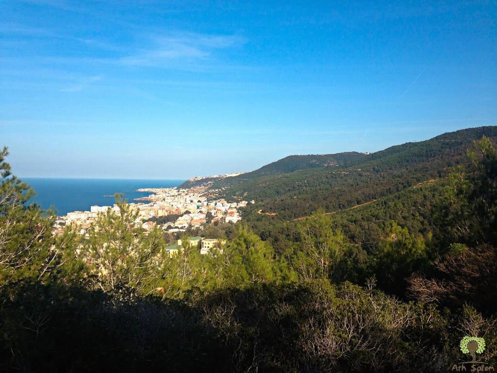 Bainem plage forêt