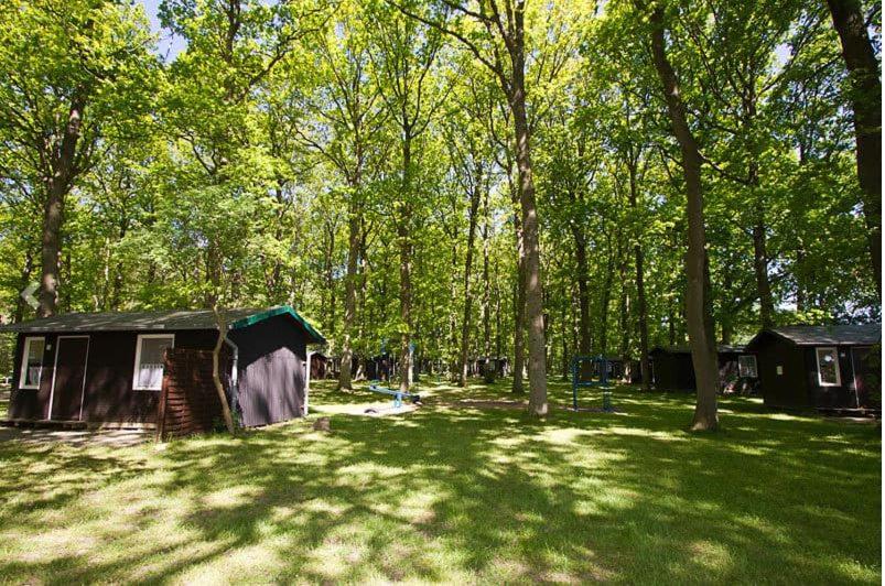 Bungalow WALD & SAND direkt am Strand