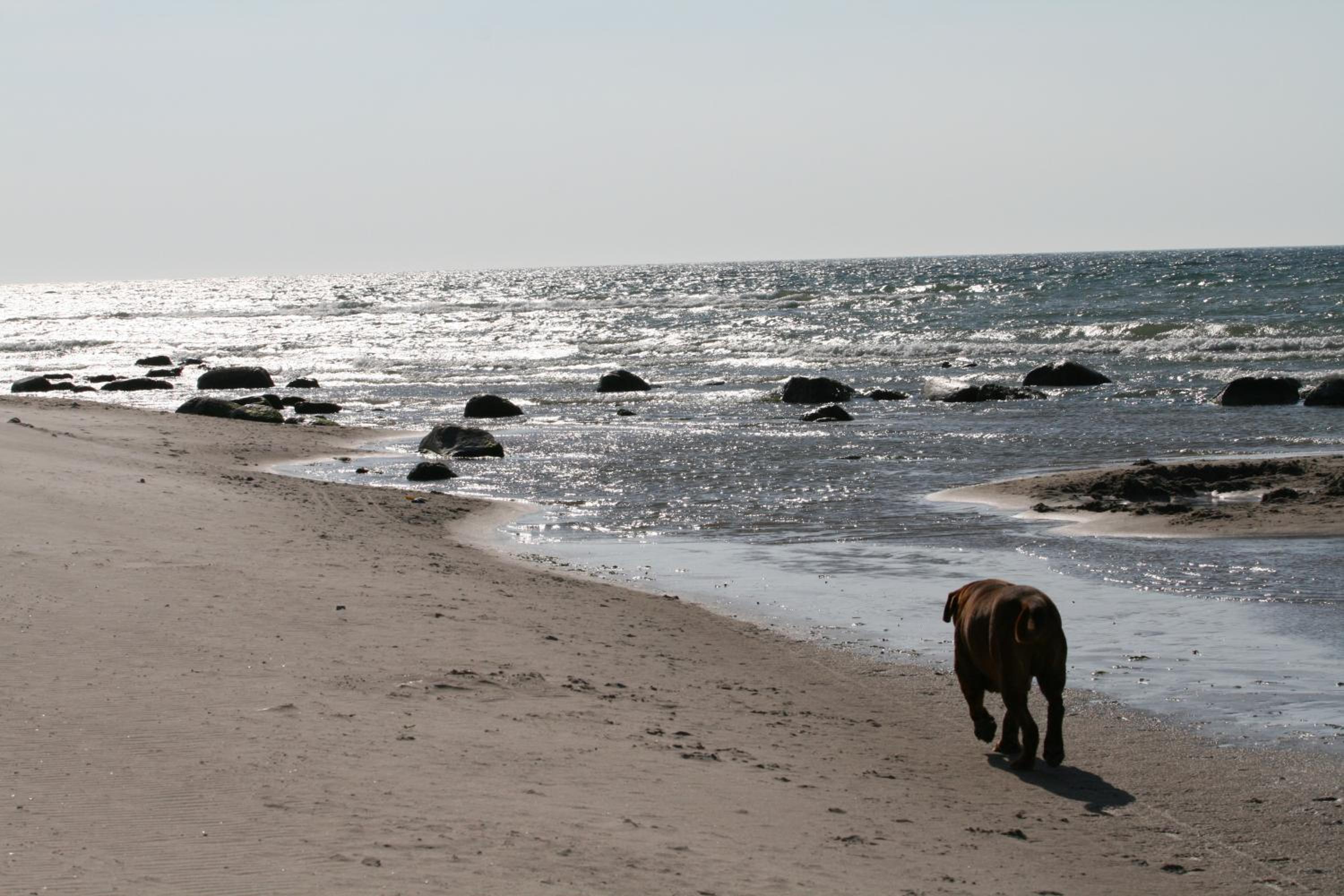 Bungalow WALD & SAND direkt am Strand