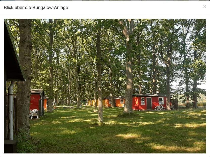 Bungalow WALD & SAND direkt am Strand