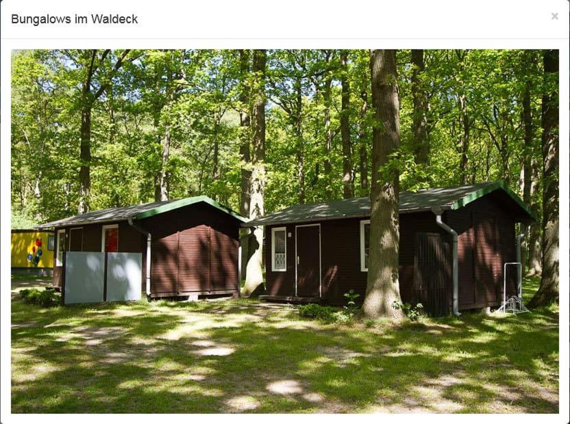 Bungalow WALD & SAND direkt am Strand