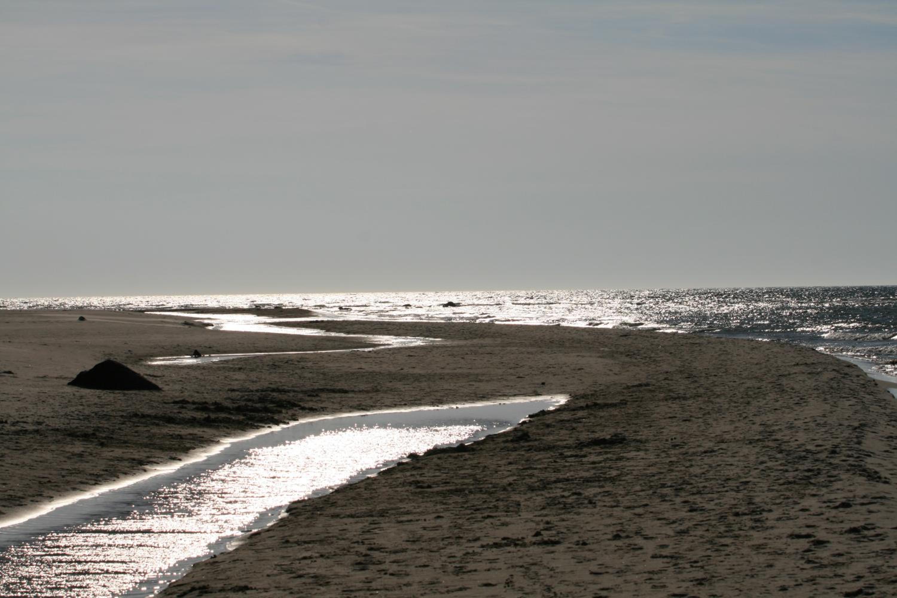 Bungalow WALD & SAND direkt am Strand