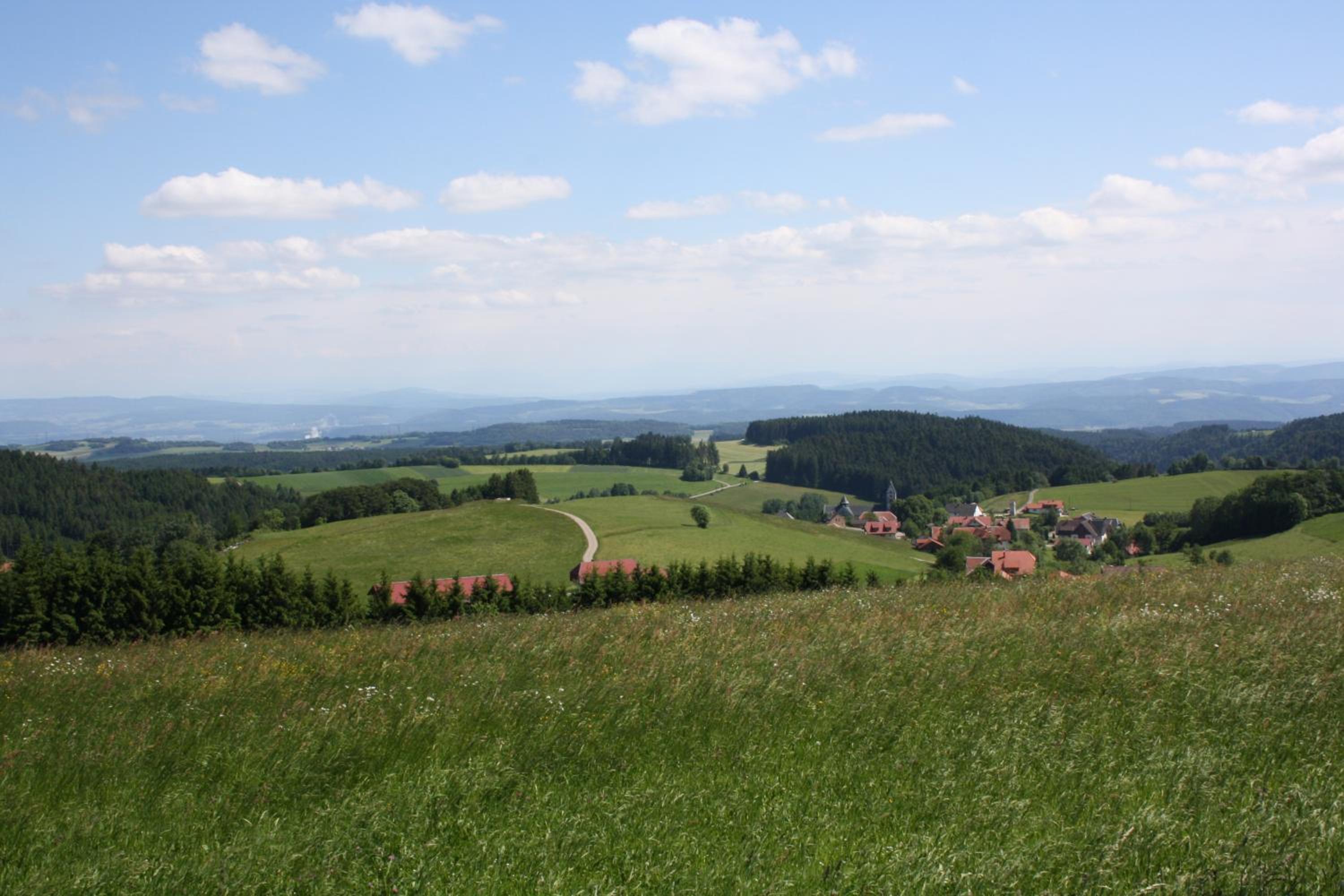 Vogelbacher Hof - Dachsberg im Südschwarzwald