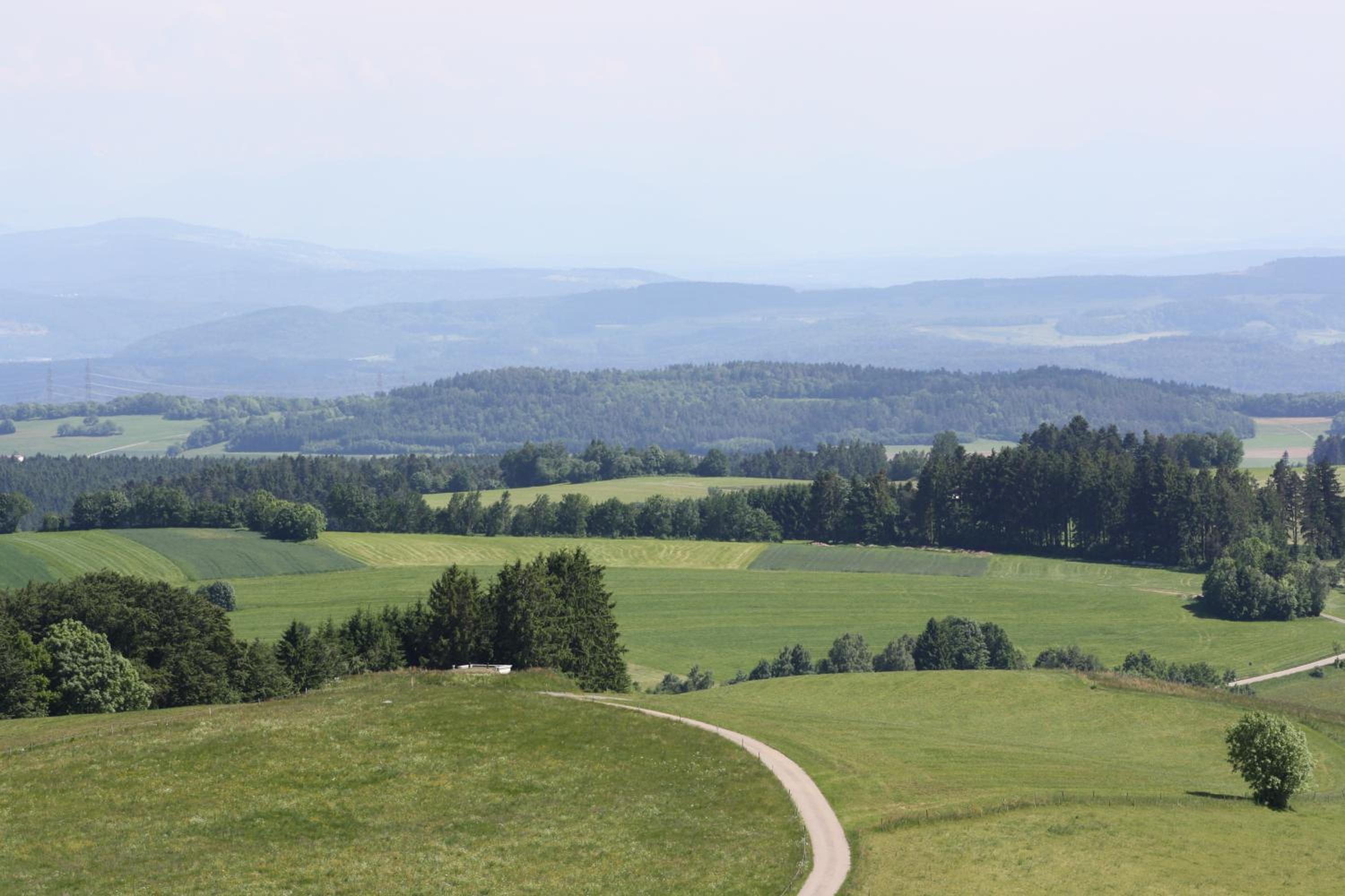 Vogelbacher Hof - Dachsberg im Südschwarzwald