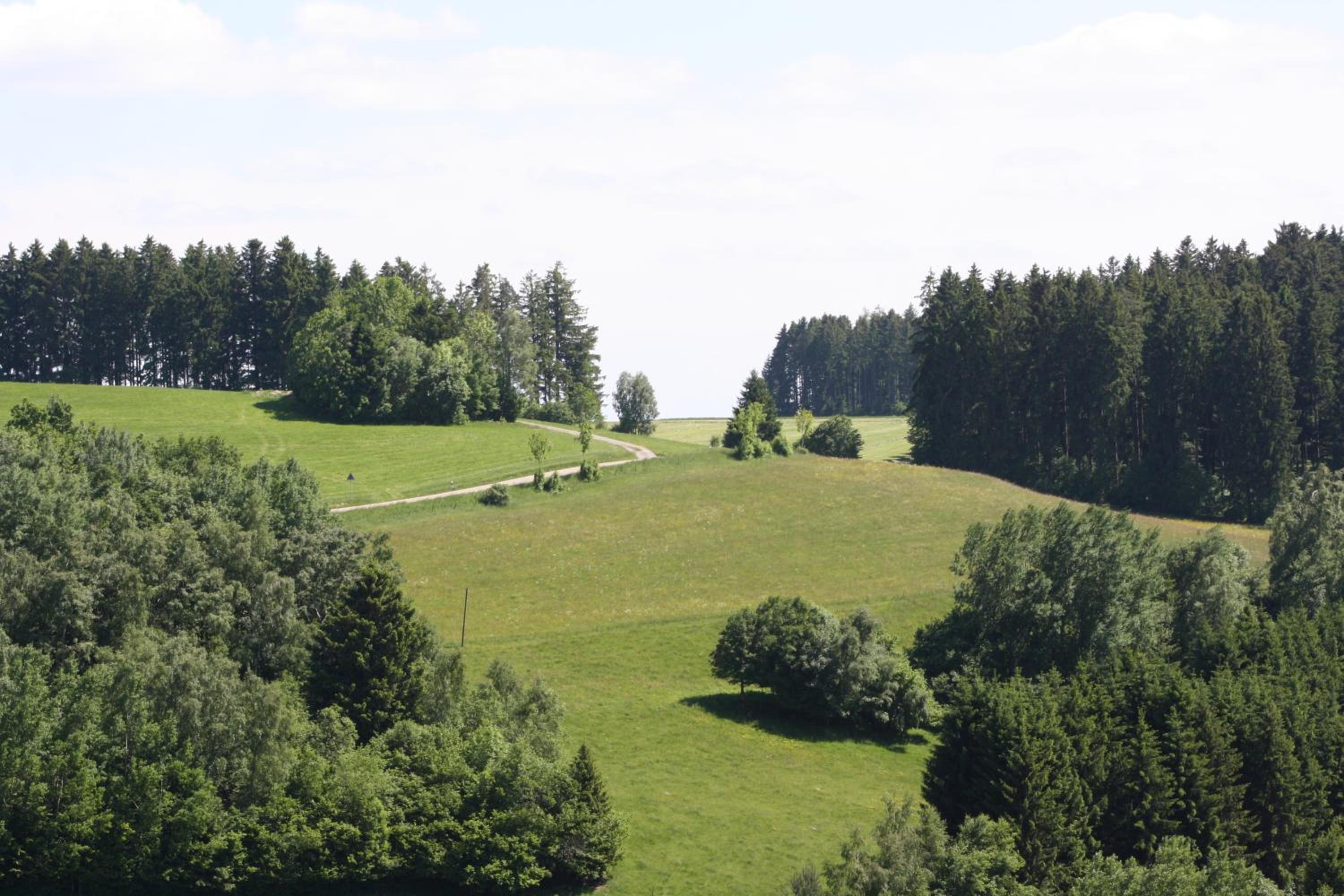 Vogelbacher Hof - Dachsberg im Südschwarzwald